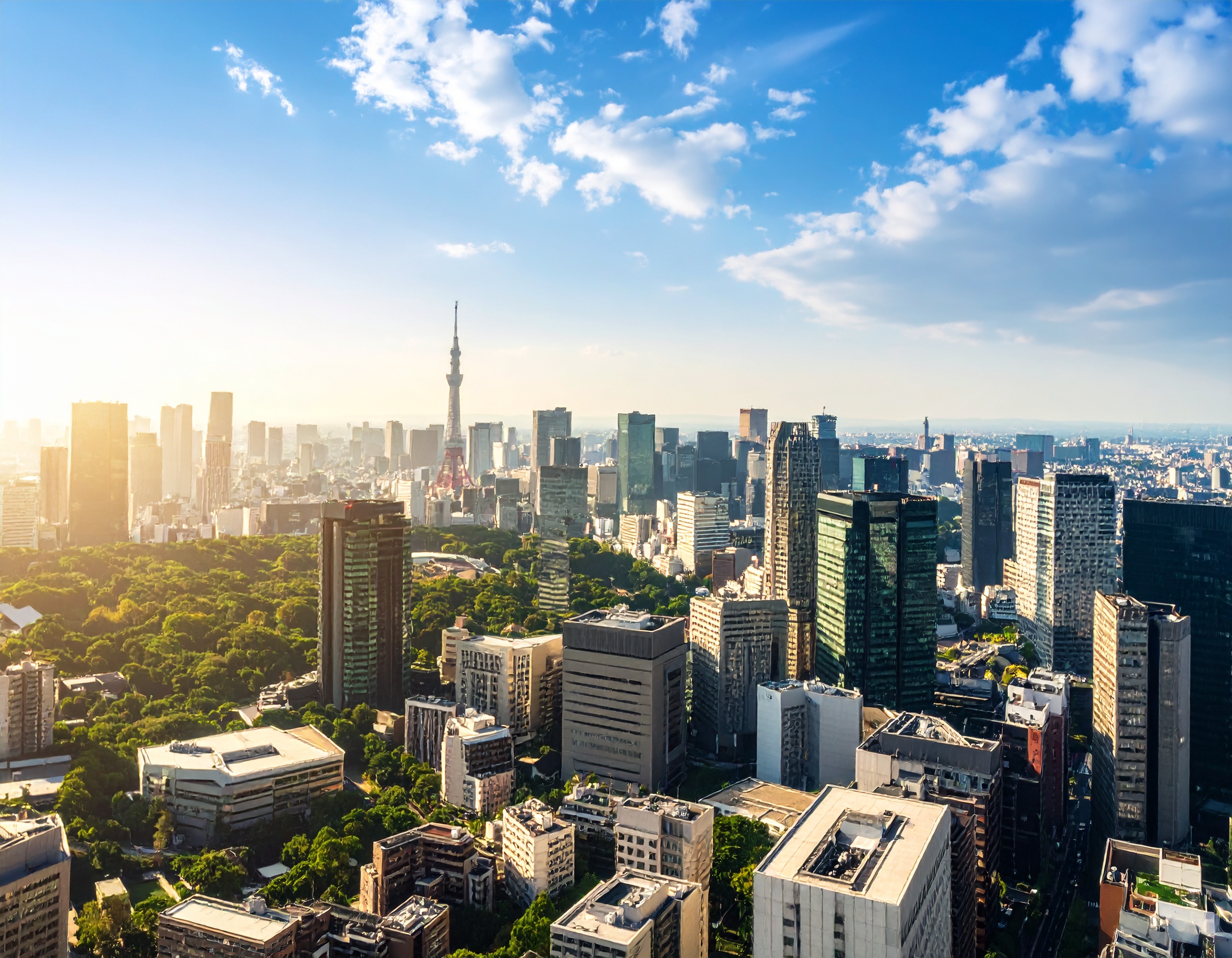 夏空と東京のビル群